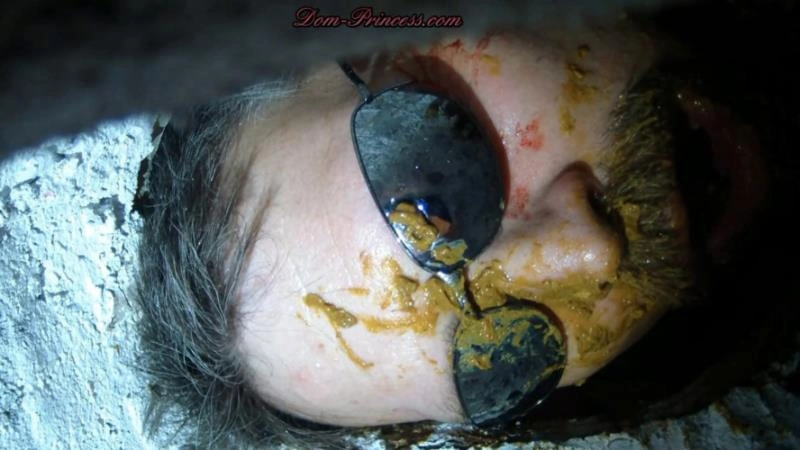 Scatmania Now You Are Officially A Toilet Part 8 Andrea Hd [HD/2025]