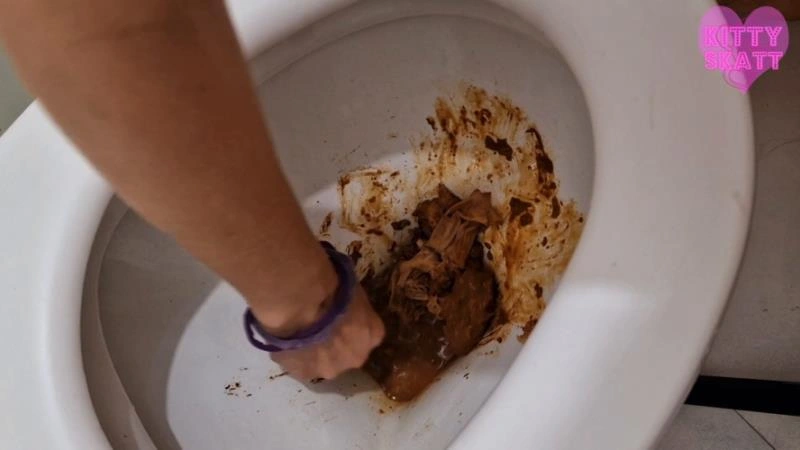 Toilet Aclogcalypse Disasters Kitty Skatt [FullHD/2025]