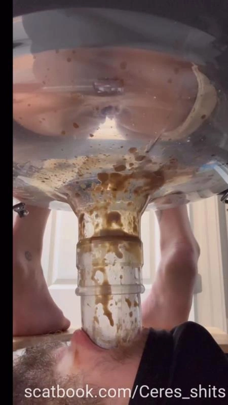 A Day of Shitting Down My Toilet's Throat P1 [SD/2025]