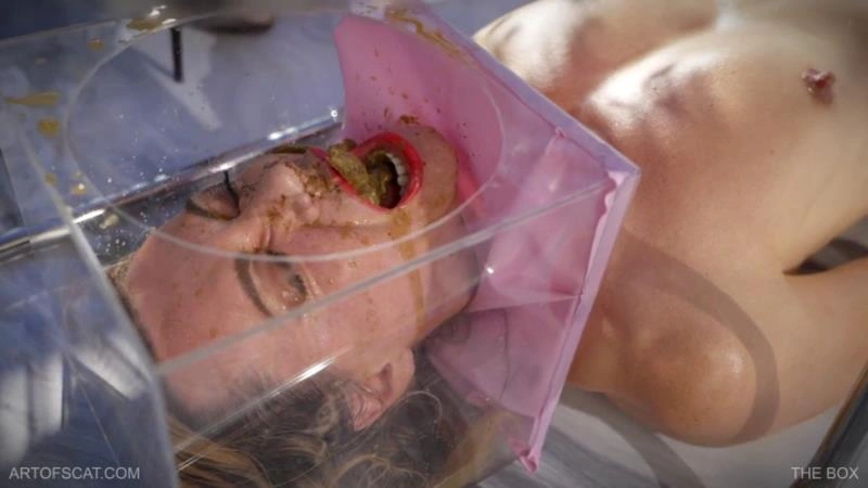 THE BOX QS, NAZRYANA [FullHD/2025]