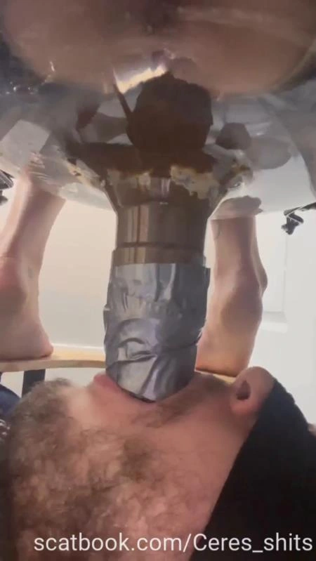 Toilet Annihilation with Goddess Ceres P1 [SD/2025]