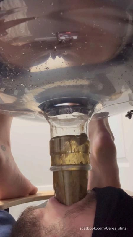 Human Toilet's First Malfunction Infinite Shit Down Your Throat » Mixfemdomcc - Latest Femdom Porn for Online Streaming Goddess Ceres [SD/2025]