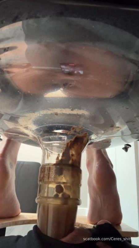 Swallow All of My Nasty Explosive Diarrhea » Mixfemdomcc - Latest Femdom Porn for Online Streaming Goddess Ceres [SD/2025]