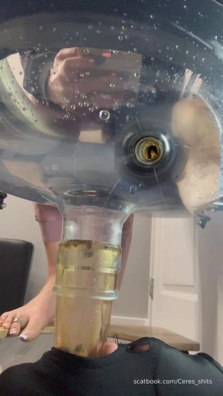 Septic Tank Almost Fails » Mixfemdomcc - Latest Femdom Porn for Online Streaming Goddess Ceres [SD/2025]