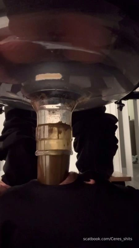 Goddess Ceres-2025-10-19 - Toilet Swallows All My Waste For The Day [SD/2025]