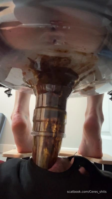 Daily Toilet Torture » Mixfemdomcc - Latest Femdom Porn for Online Streaming Goddess Ceres [SD/2025]