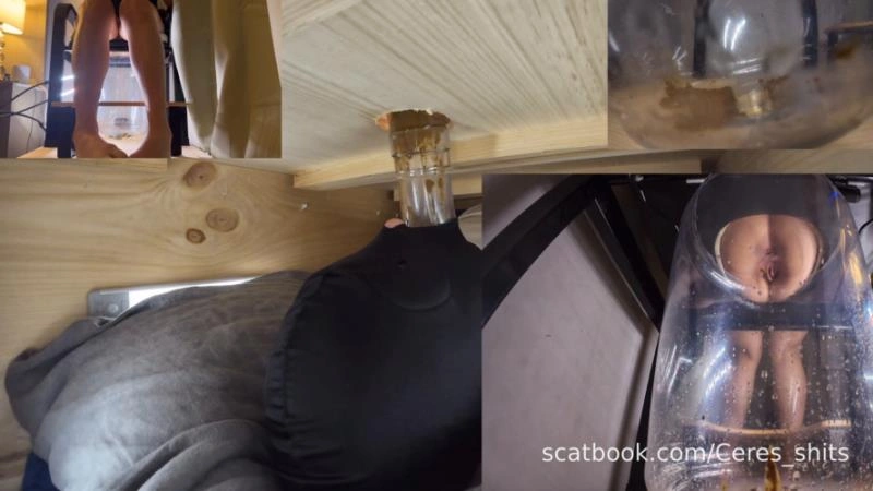 The Ultimate Human Toilet Setup Configuration » Mixfemdomcc - Latest Femdom Porn for Online Streaming Goddess Ceres [FullHD/2025]