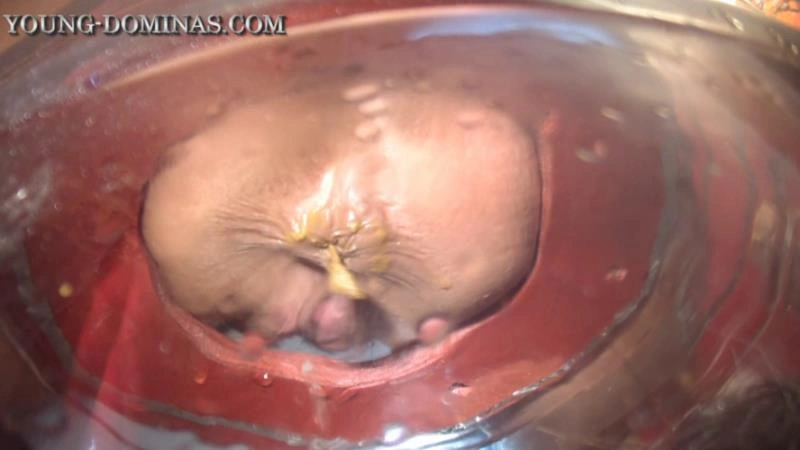 The Poop Barril Part 3 HD. P1 [HD/2026]