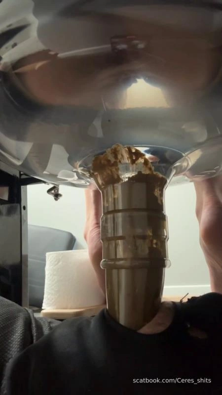 Daily Toilet Torture P1 [SD/2026]