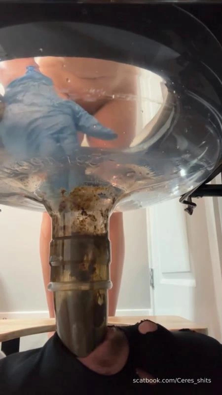 24 Minutes of Daily Toilet Slave Destruction P1 [SD/2026]