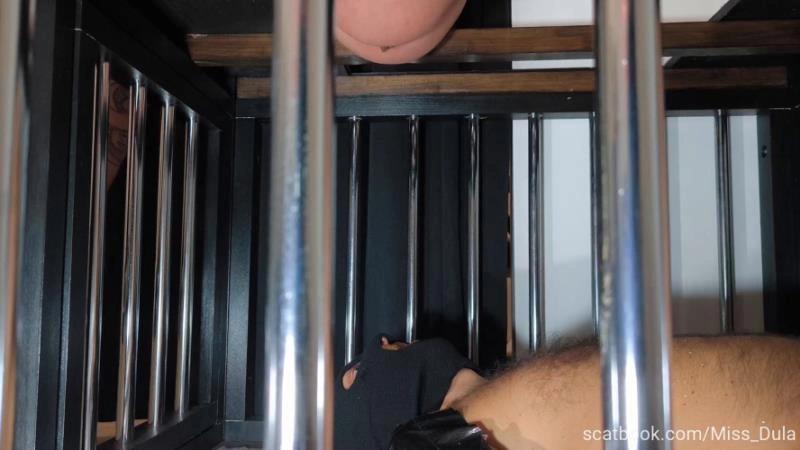 My Poop In His Mouth » Mixfemdomcc - Latest Femdom Porn for Online Streaming MISS DULA [FullHD/2026]