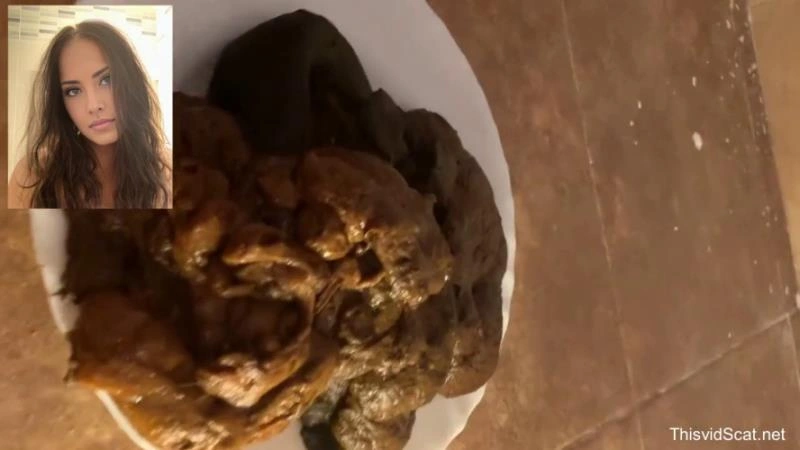 A huge pile of shit goes into the toilet. P1 [HD/2026]