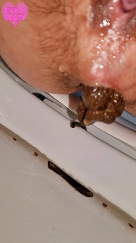 Four unflushable logs [SD/2026]