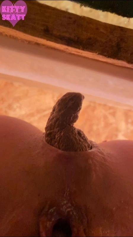 POV hookup in festival toilet Kitty Skatt [SD/2026]