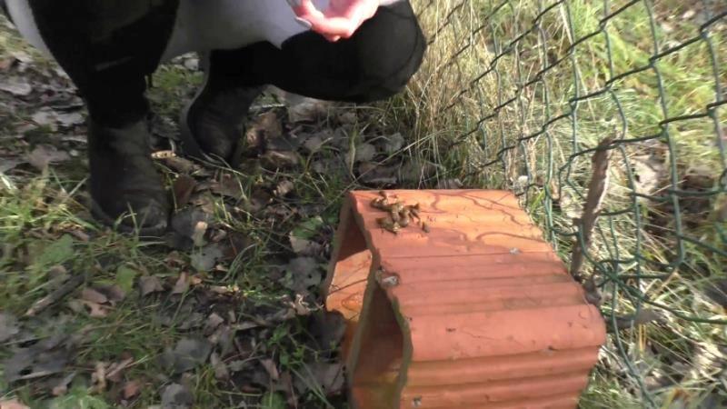 Compilation Dump Set 177 Videos P16 HotDirtyIvone [FullHD/2026]