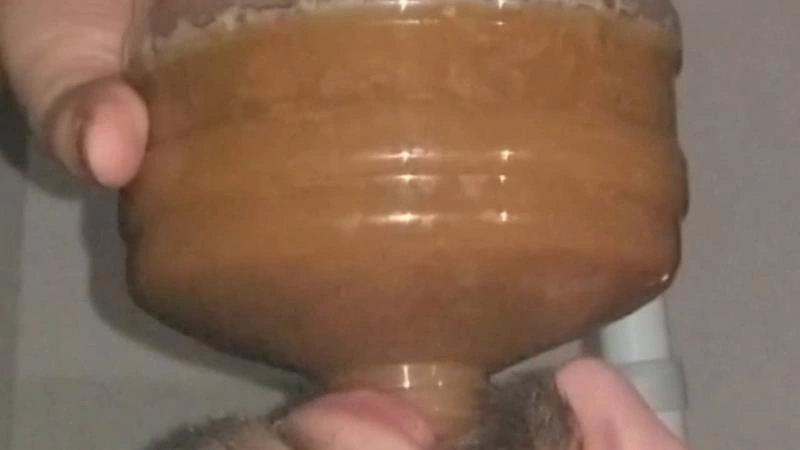 Chugging LITERS of my poop-flavored pee SSBBW Queen Siya [HD/2026]