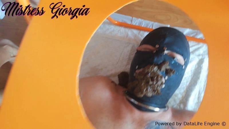 morning shit » Mixfemdomcc - Latest Femdom Porn for Online Streaming Mistress Giorgia [FullHD/2026]