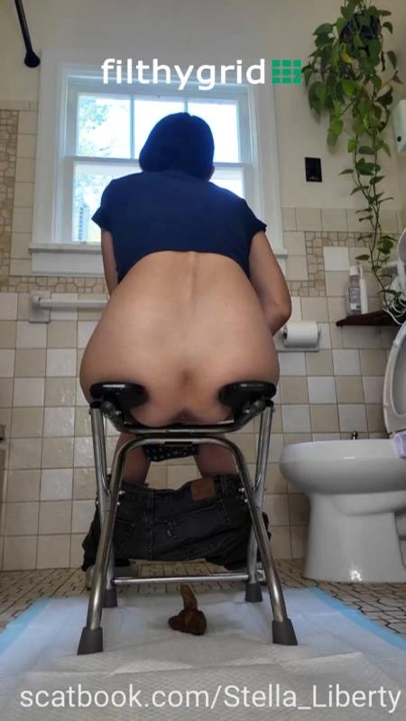 Number Two with the Toilet Chair [SD/2026]